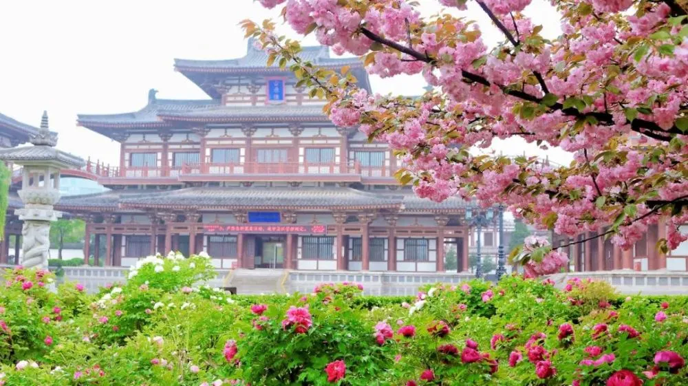 陕西西安青龙寺